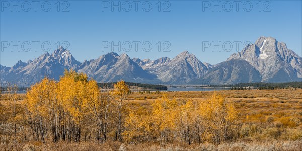 Autumn landscape