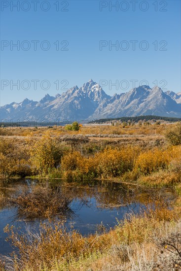 Autumn landscape