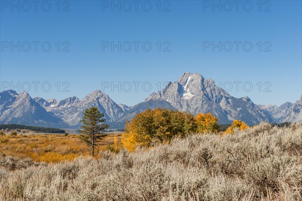 Autumn landscape