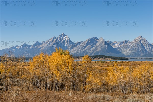 Autumn landscape