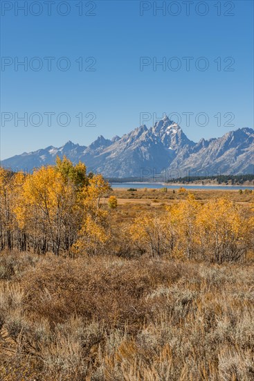 Autumn landscape