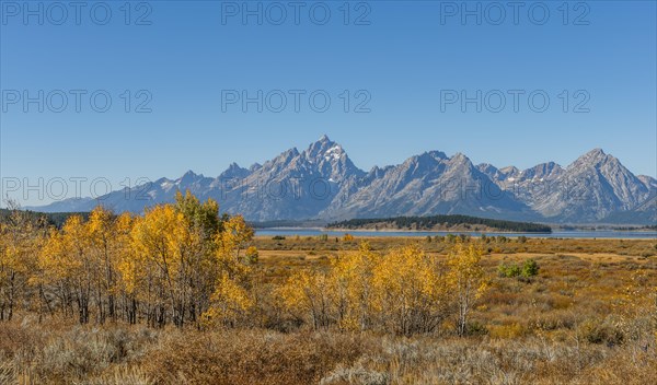 Autumn landscape