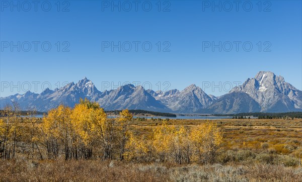 Autumn landscape