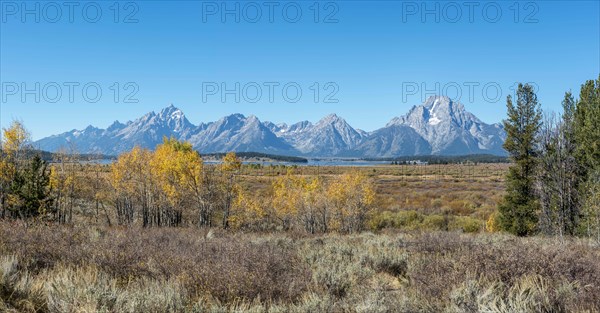 Autumn landscape