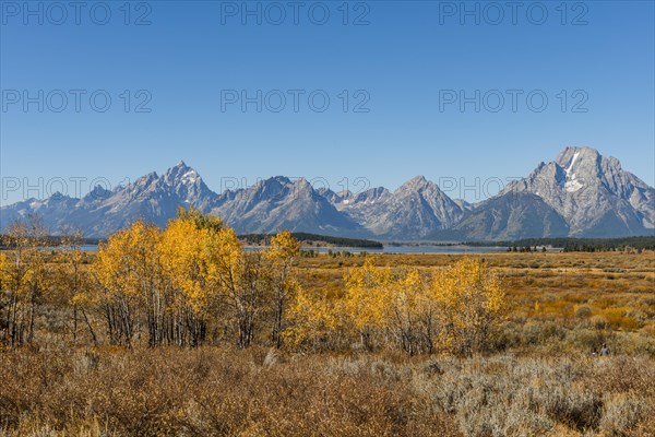 Autumn landscape