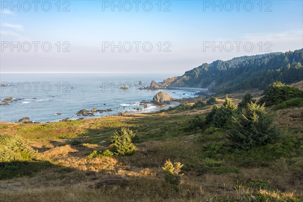 Coastal landscape with many rugged rock islands