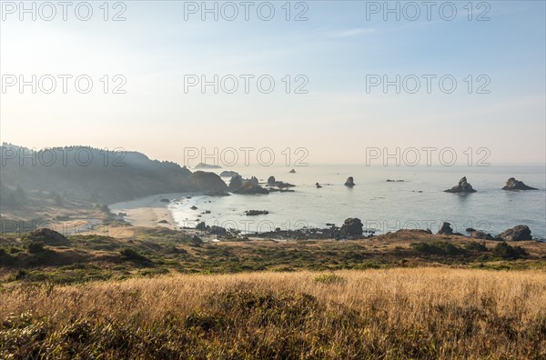 Coastal landscape with many rugged rock islands