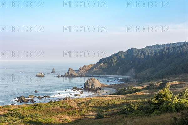 Coastal landscape with many rugged rock islands