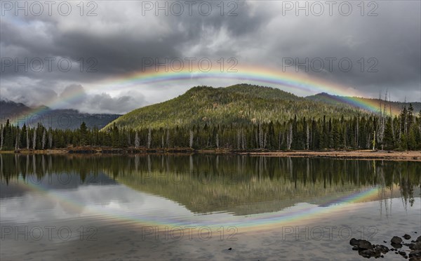 Rainbow in dark clouds over a forest