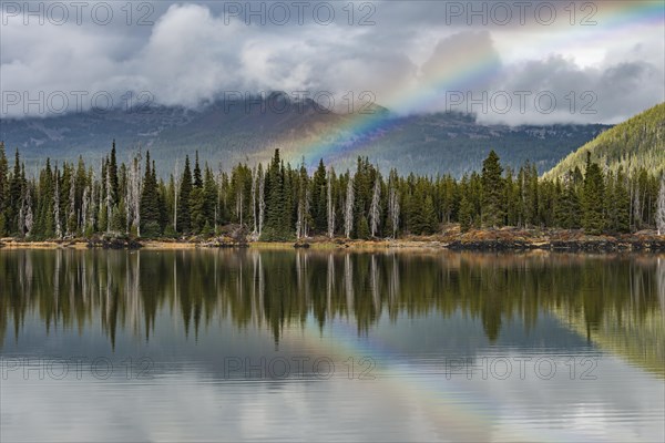 Rainbow in clouds over a forest