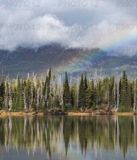 Rainbow in clouds over a forest