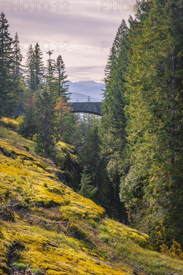 Bridge over gorge