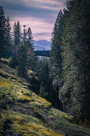 Bridge over gorge