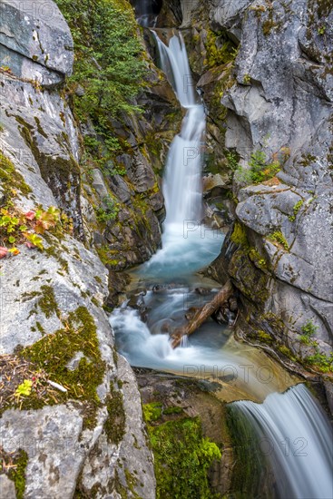 Christine Falls