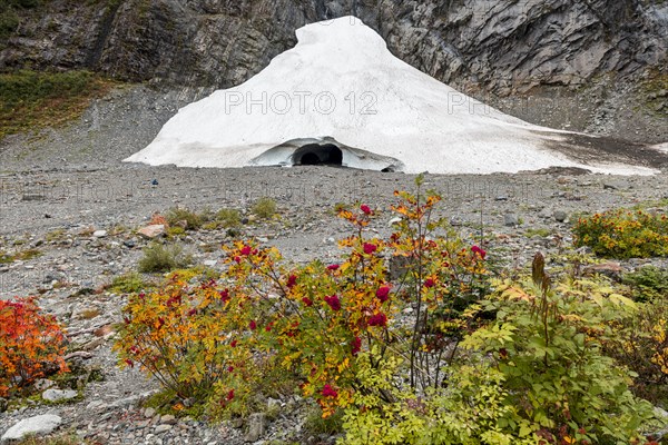 Entrance of an ice cave of a glacier