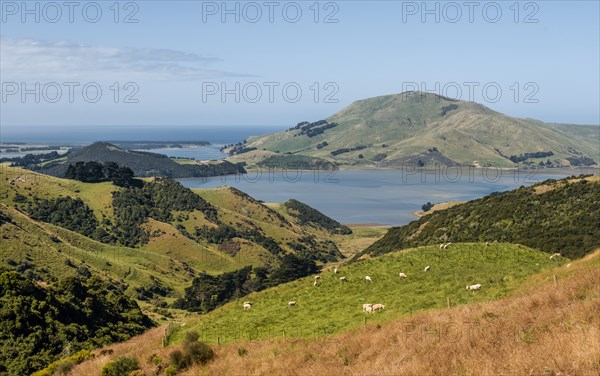 Hilly Landscape
