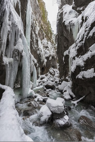 Wild river Partnach in the Partnachklamm with long icicles and snow in winter