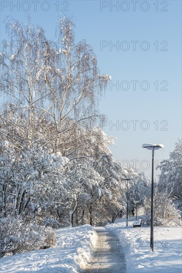 Way in a park in winter with snow