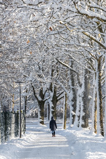 Pedestrian walking