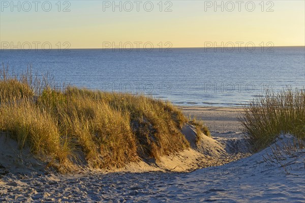 Sandy beach beach and dunes at the Gotinger Kliff