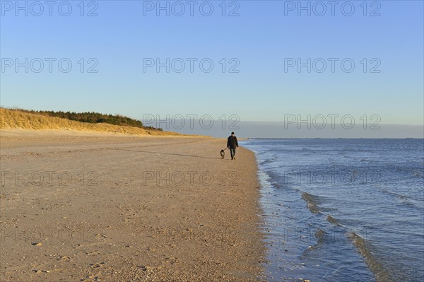 Man walks dog on empty sandy beach