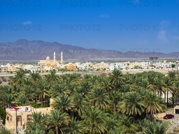 View from Fort Nakhl