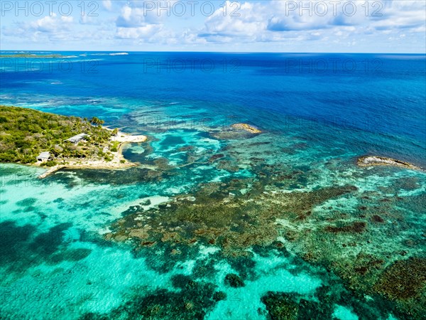 Coral reef off Great Bird Island
