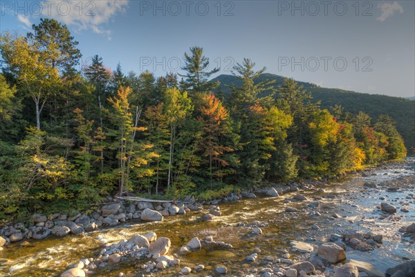 River with autumn forest