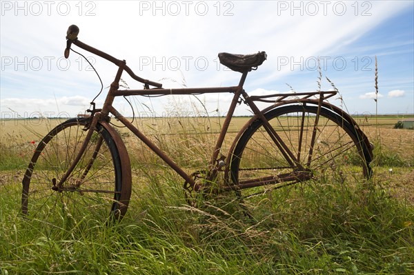 Rusted bicycle in grass by roadside