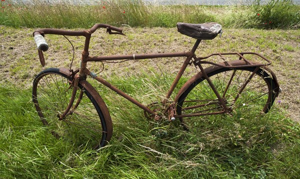 Rusted bicycle in grass by roadside