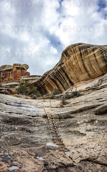 Hiking trail with wooden ladder on rock face