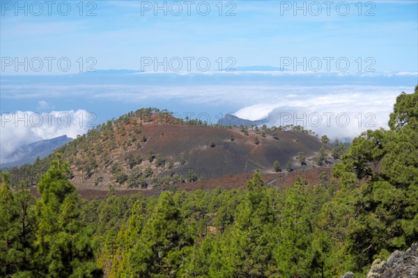 View from Mirador de Chio on volcanic landscape