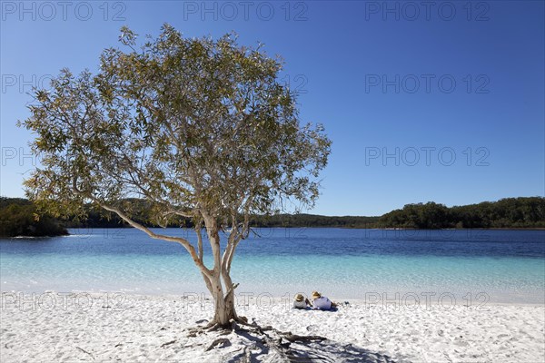 Couple lying on the sandy beach next to niaouli
