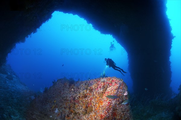 Diver looks at reef formation known as sarcophagus in archway from south plateau of Elphinstone Reef