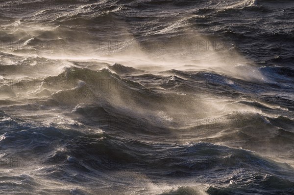 Moderately rough sea