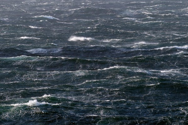 Moderately rough sea