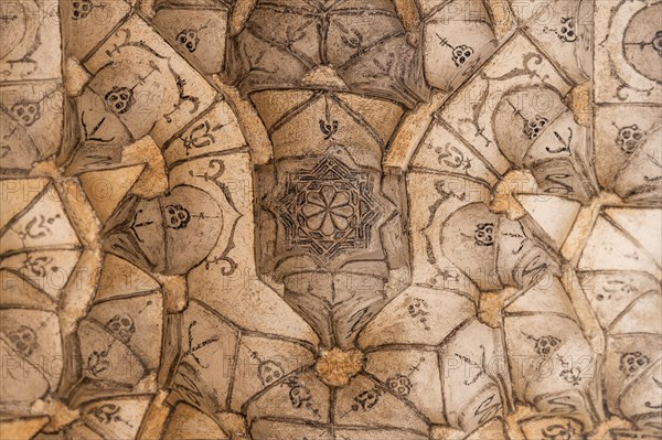 Ceiling with plaster decorations