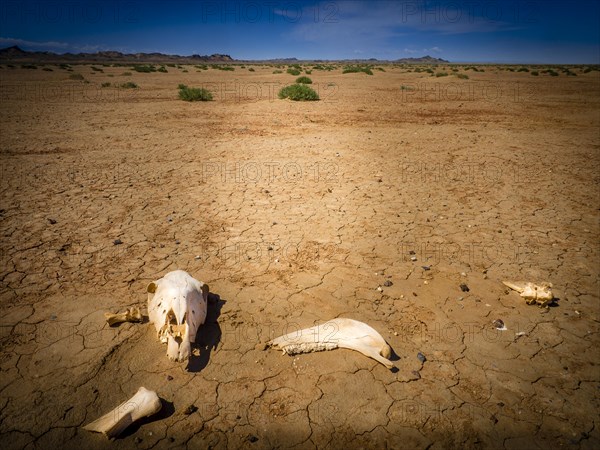 Gobi Desert