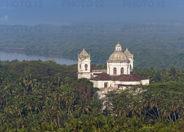 St. Cajetan Church among palm trees