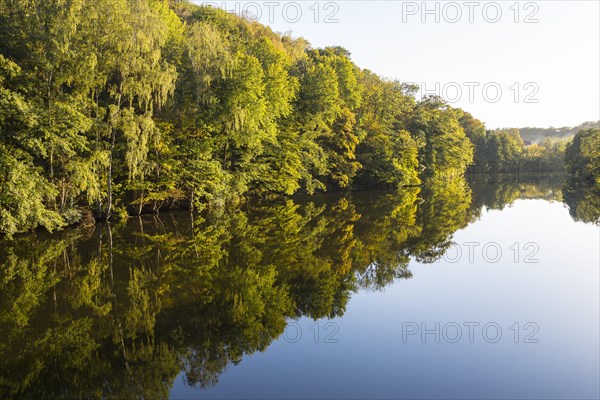 Evening atmosphere with reflection of the trees in the water of the Zschopau near Mittweida