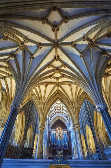 Interior and organ
