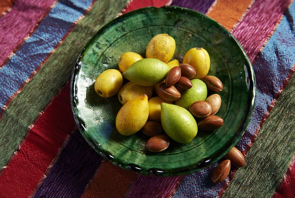 Fresh Argan fruits and Argan nuts (Argania spinosa)