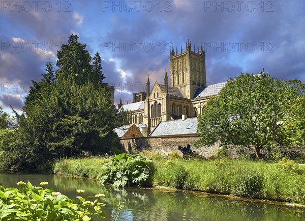 Medieval Wells Cathedral