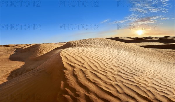 Sand dunes of Grand Erg Oriental near the oasis of Ksar Ghilane