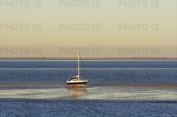 Sailboat in the Wadden Sea