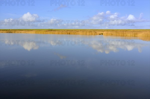 Cumulus clouds reflected in water