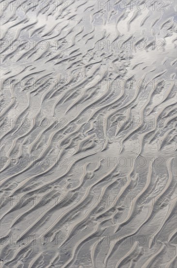 Sandy beach at low tide