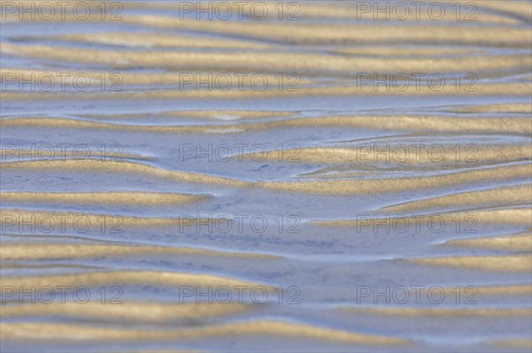 Sandy beach at low tide