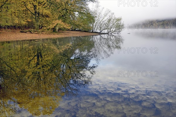 Autumn atmosphere with early fog at Lake Mohnesee