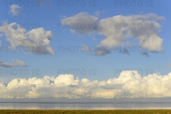 View over the Wadden Sea with salt marshes and deep clouds